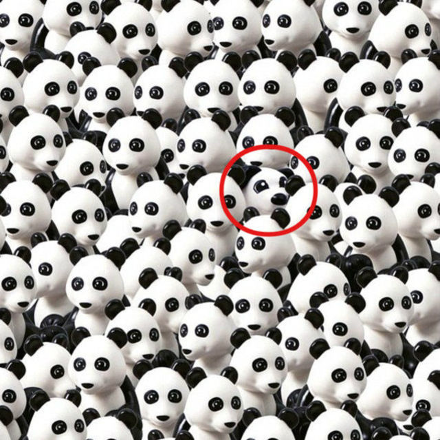 The Ultimate Hidden Panda Collection Playbuzz