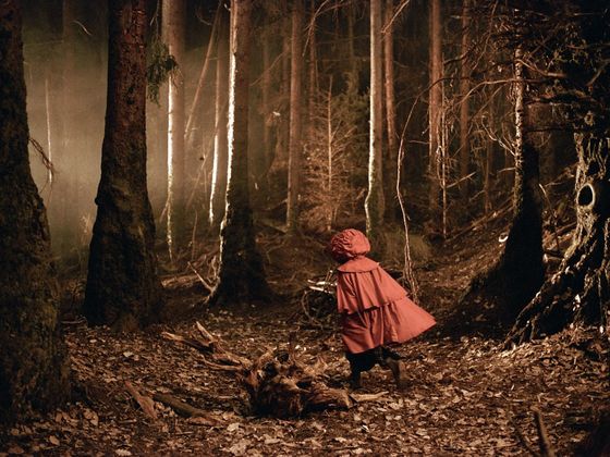 In Which Original Grimm Story Do You Belong?