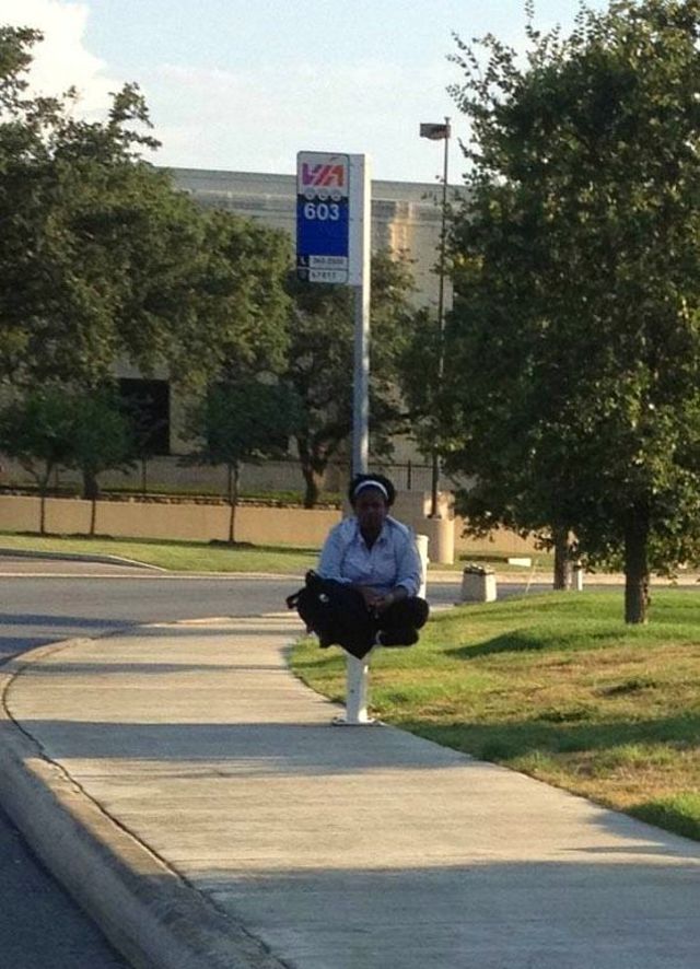 Նա կարողանում է թռչե՞լ