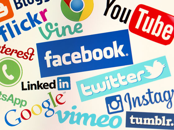Which Website Are You?