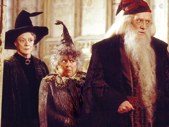 Which Older Harry Potter Character Will You Be Lucky Enough To Age Into?