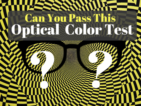 This Optical Test Will Reveal Your Brain's True Color Preference