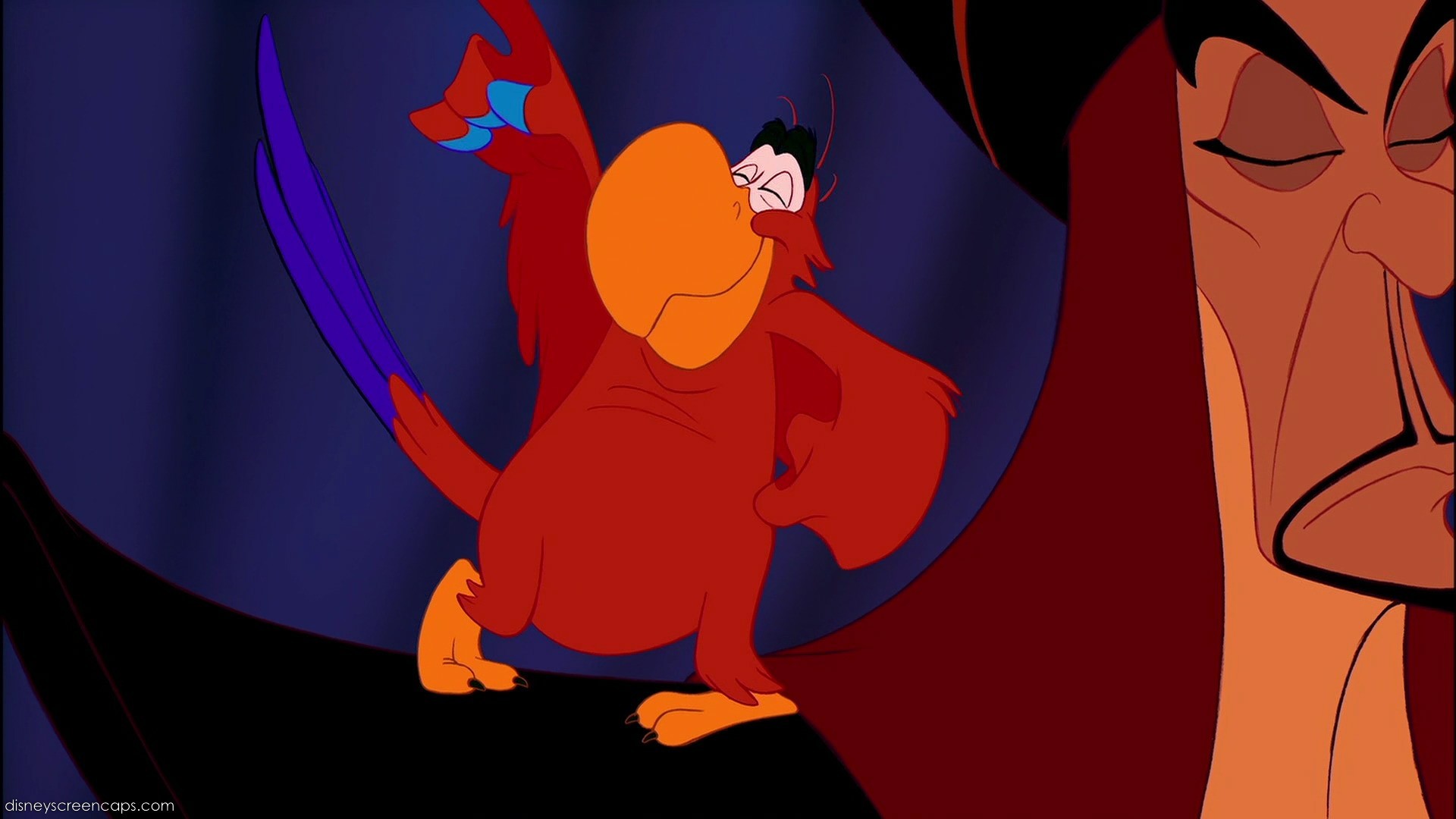 parrot in aladin