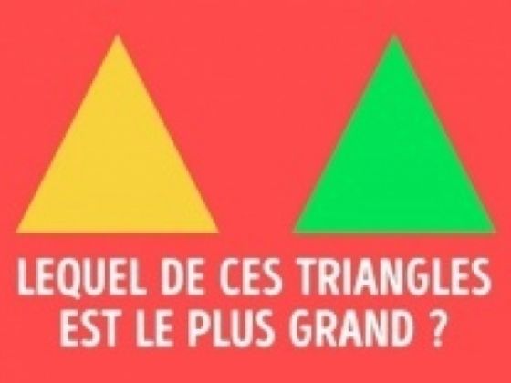La plupart des personnes n’utilise que 10% de leur cerveau. Et toi ?
