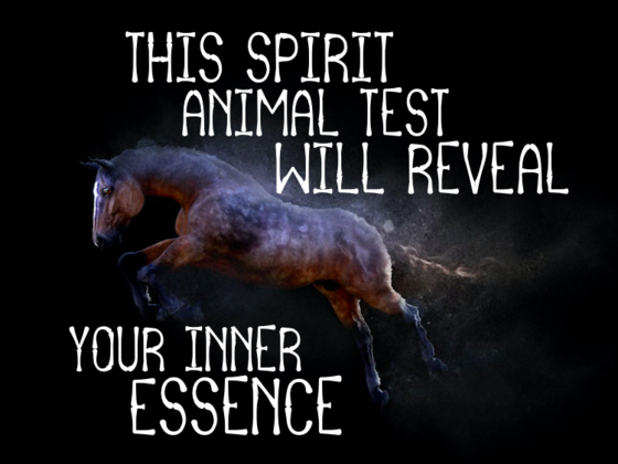 This Spirit Animal Test Will Reveal Your Inner Essence