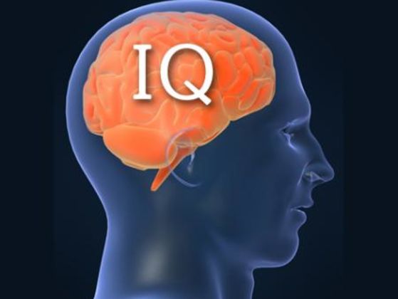 We Can Guess Your Job Based On Your IQ