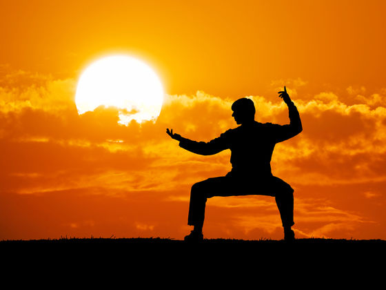 What Martial Arts Style Should You Learn?