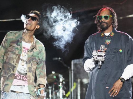 Which Famous Reefer-Loving Rapper Are You?