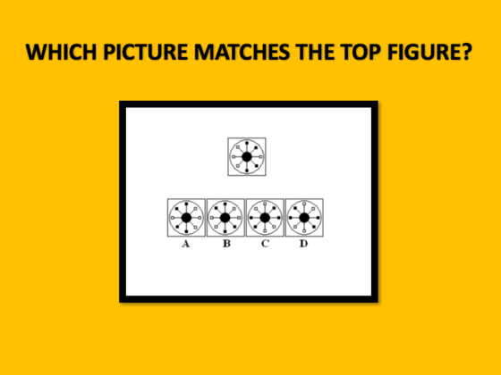 Take This Spatial-Based Quiz To See What Career Is Perfect For You