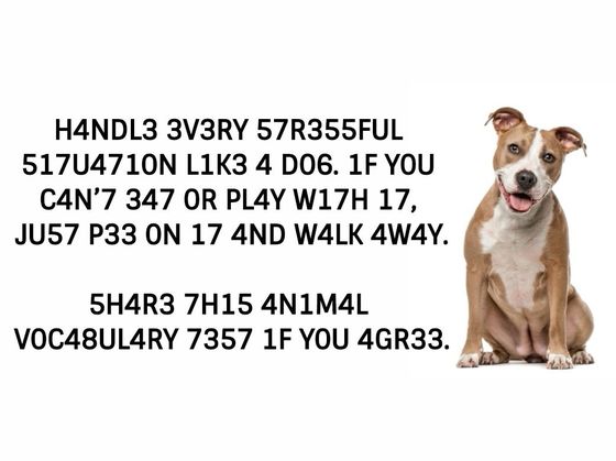 Only People With Exceptional IQ Can Pass This Animal Vocabulary Test