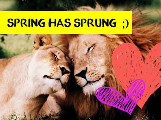 what animal mating ritual are you and your significant other