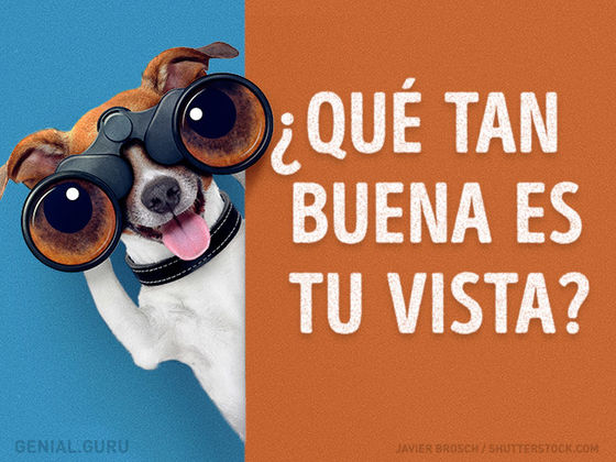 Test: ¿Qué tan buena vista tienes?