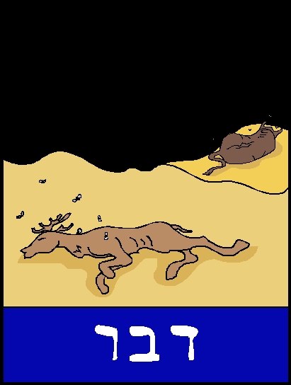 ×ª××¦××ª ×ª××× × ×¢×××¨ ×××ª ×××¨