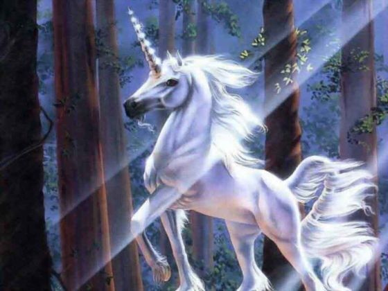 What Type Of Unicorn Are You?