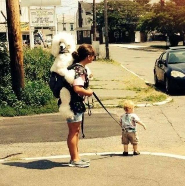 Humanos que están haciendo TODO mal - Imagen 3