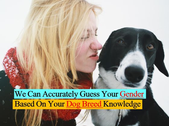 We Can Accurately Guess Your Gender Based On Your Dog Breed Knowledge