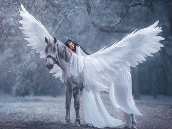 What Fantasy Character Are You?