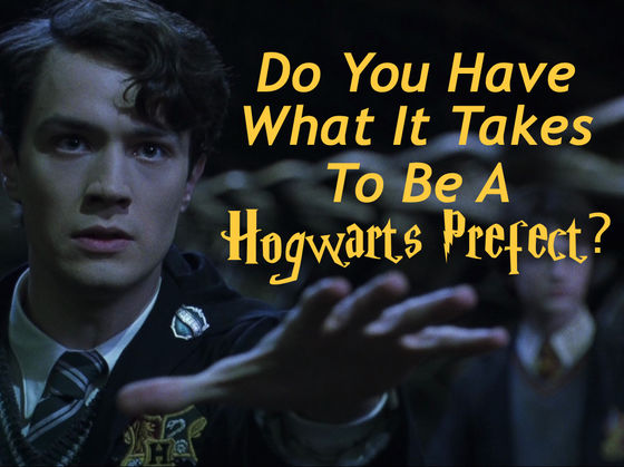 Do You Have What It Takes To Be A Hogwarts Prefect?