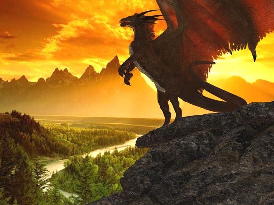 What Elemental Dragon Are You?
