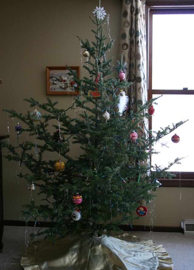 7 types of christmas trees and what they say about you 7 types of christmas trees and what they say about you