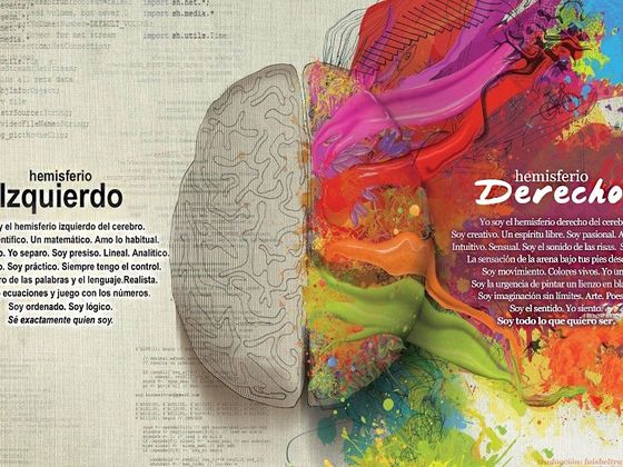 ¿Cuál es tu hemisferio del cerebro dominante?