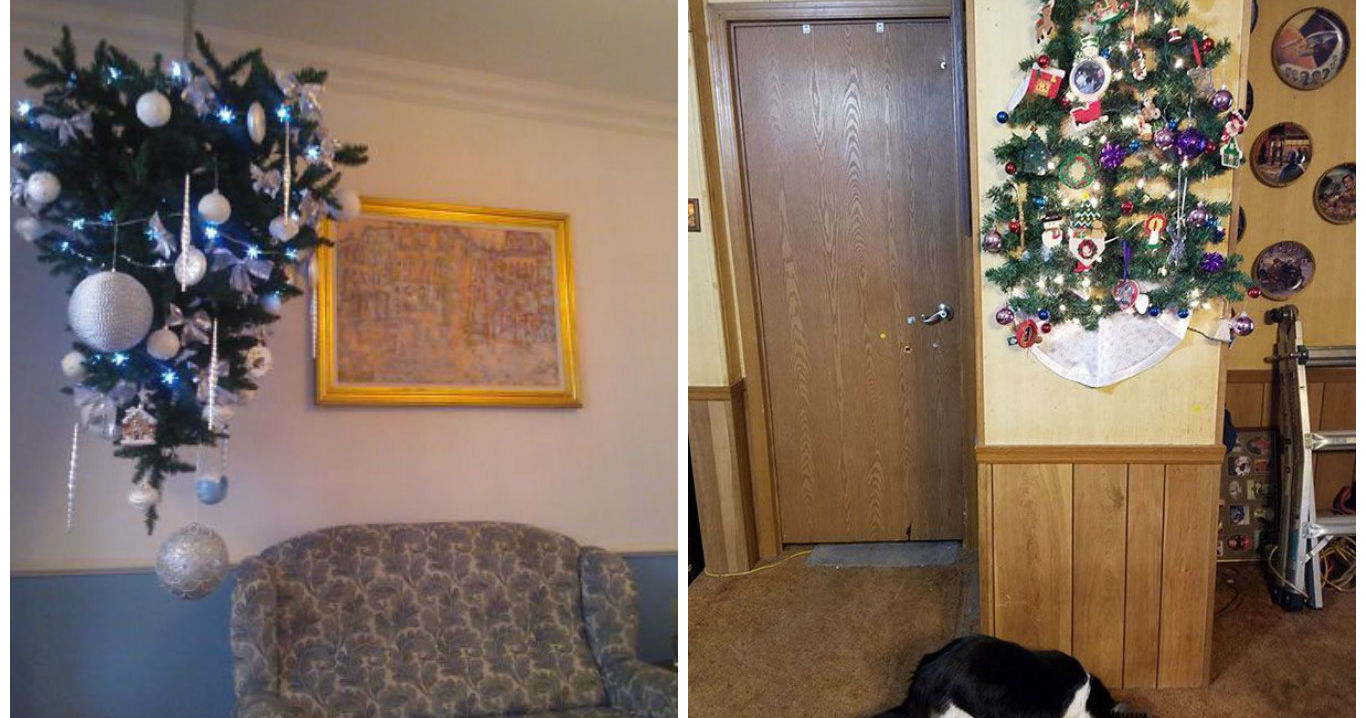33 Genius Christmas Tree Hacks For Pet Owners Playbuzz