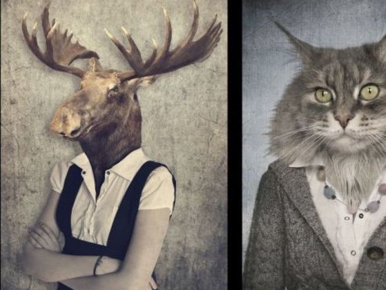 What Is Your Animal Personality?