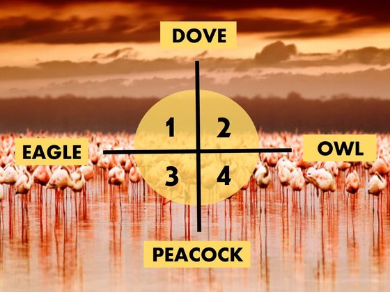 Every Person Falls Into One Of These DOPE Personality Types, Which Are You?