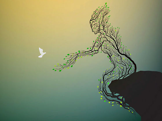 If You Were a Tree What Kind of Tree Would You Be?