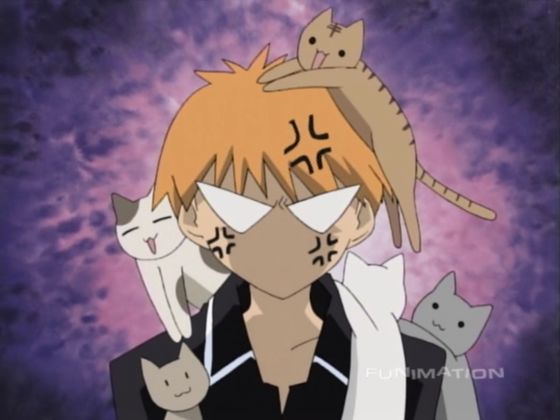 what anime pet are you playbuzz