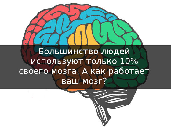 Большинство людей использует мозг только на 10%. Какой процент используете вы?