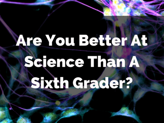 Are You Better At Science Than A Sixth Grader?