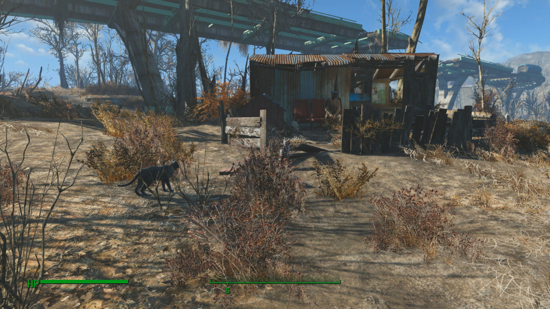 Stupid Question If Proctor Quinlan has a cat, doesn't that mean cats