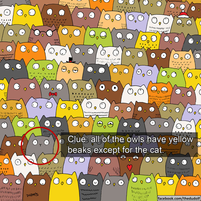 Can You Spot The Cat? Playbuzz