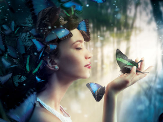 What Is Your Spirit Butterfly?