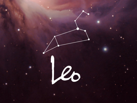 Which Famous Leo Are You Most Like