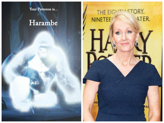 J. K. Rowling Had To Tell People That Harambe Is Not A Patronus