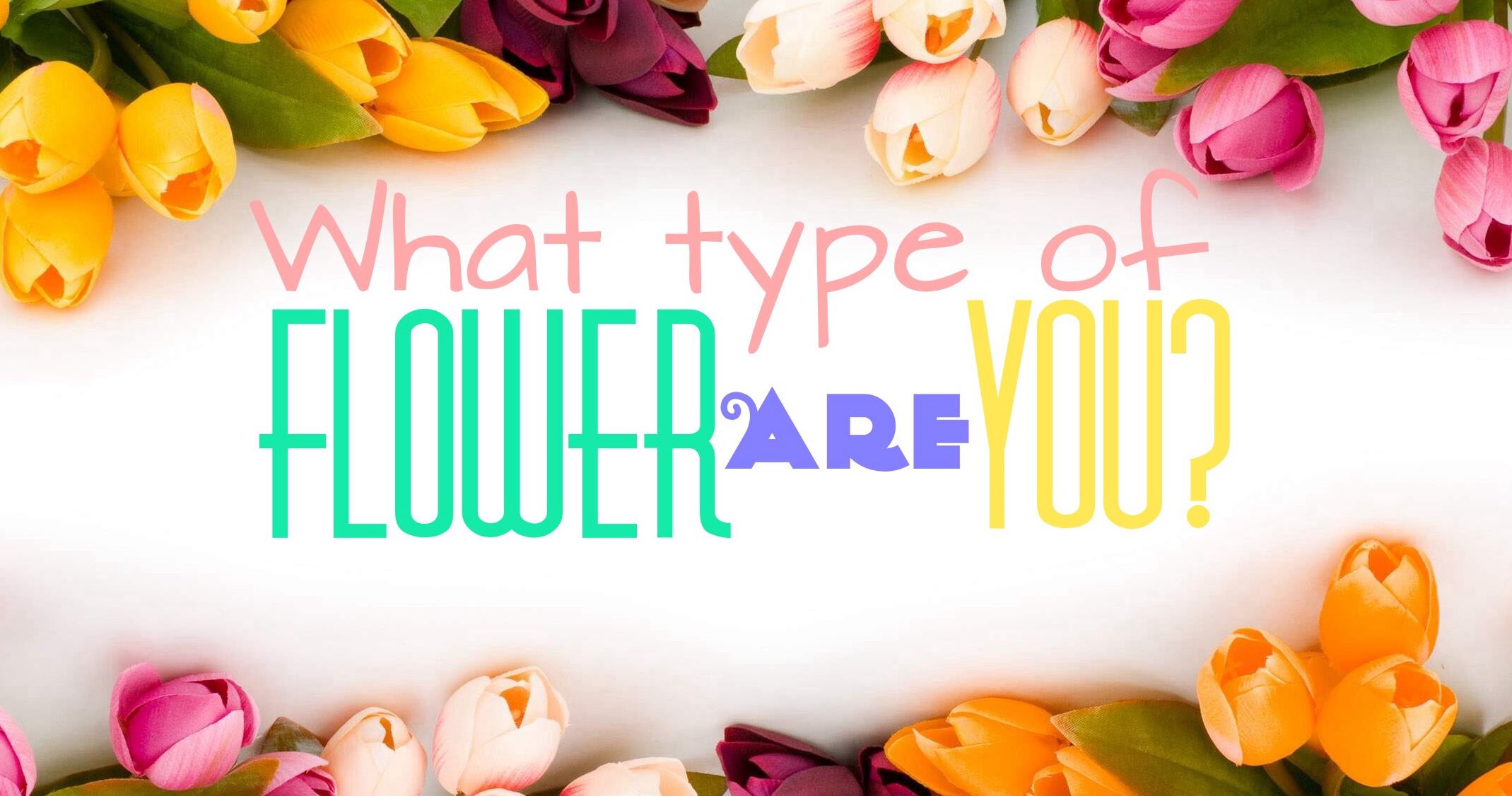 What Type Of Flower Are You? Playbuzz