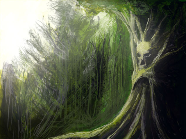 Afficher limage dorigine