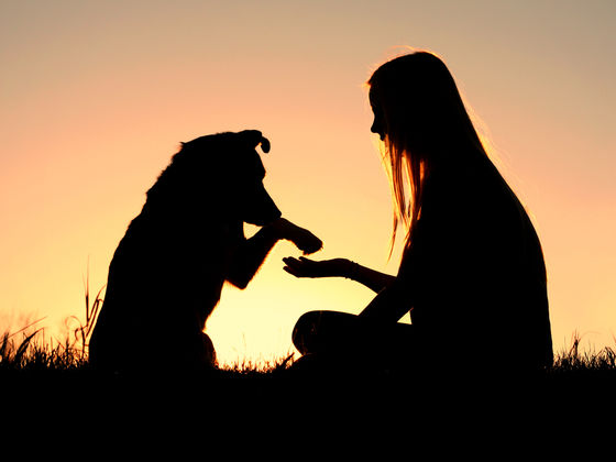 Which Puppy Is Your Actual Soulmate?