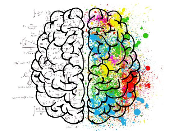 Right Or Left? What Part Of Your Mind Tells You What To Do?