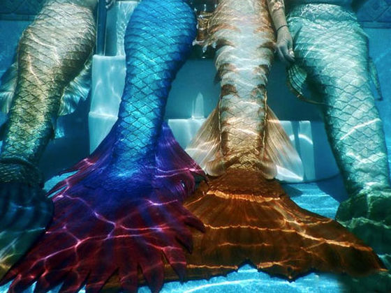 What Color is Your Mermaid Tail? | Playbuzz