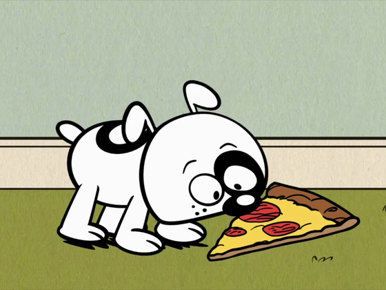TEST: ¿Cuál gif de perrito te representa según tu signo?