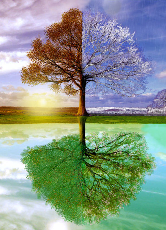 What Animal Are You? Playbuzz