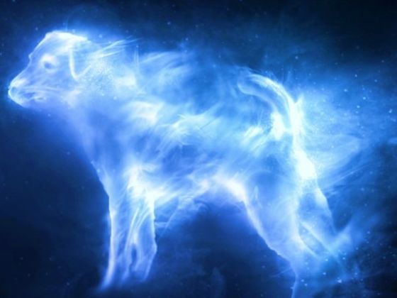 What Is Your Patronus >> What Form Does YOUR Patronus Charm Take? | Playbuzz What Is Your Patronus >> What Form Does YOUR Patronus Charm Take? | Playbuzz