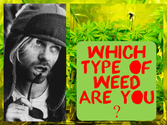 Which Type Of Weed Are You?
