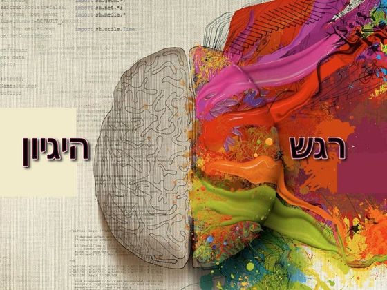 האם המוח שלכם נשלט ע"י רגש או היגיון?