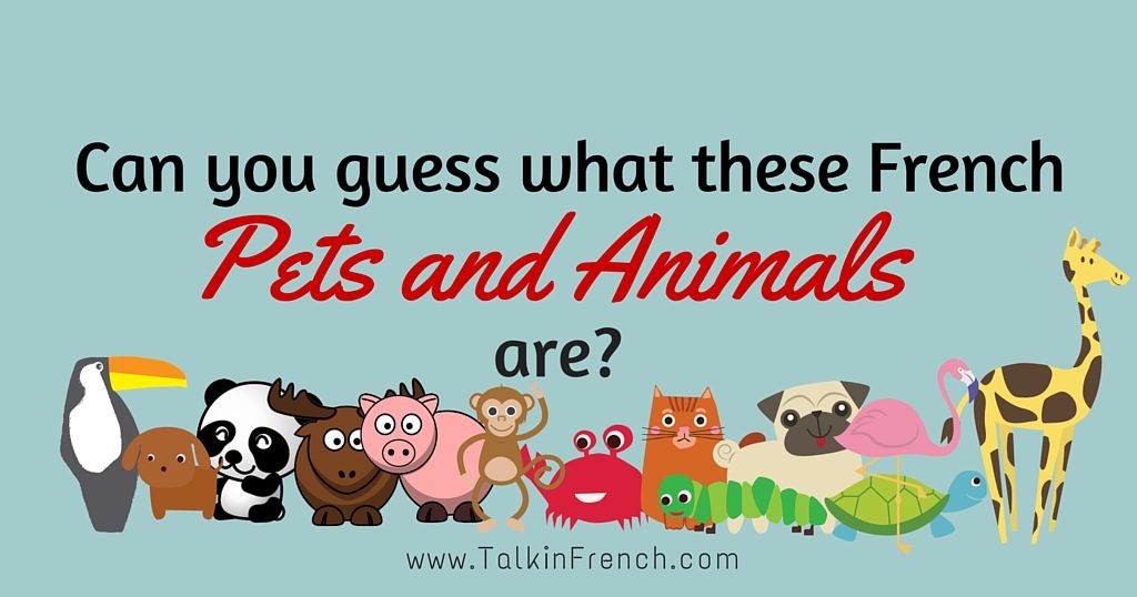 Can you guess what these French Pets and Animals are? Playbuzz