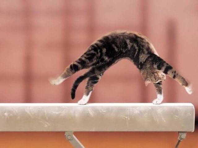 What Gymnastics Event Are You? | Playbuzz