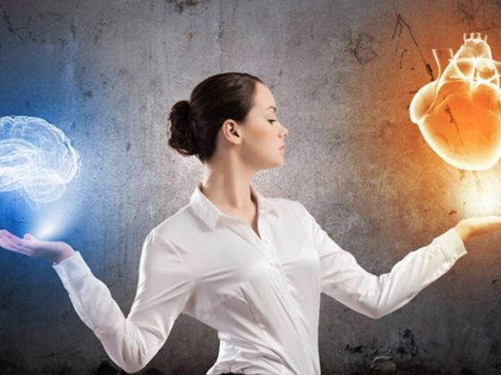 Is Your Brain Ruled by Logic or Emotion?